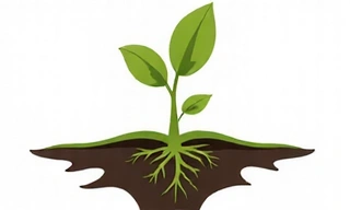 Stylized image of a thriving plant growing from healthy soil, symbolizing sustainability